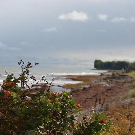 Lille Hus - Familienfreundliches Strandhaus Mit Ofen *